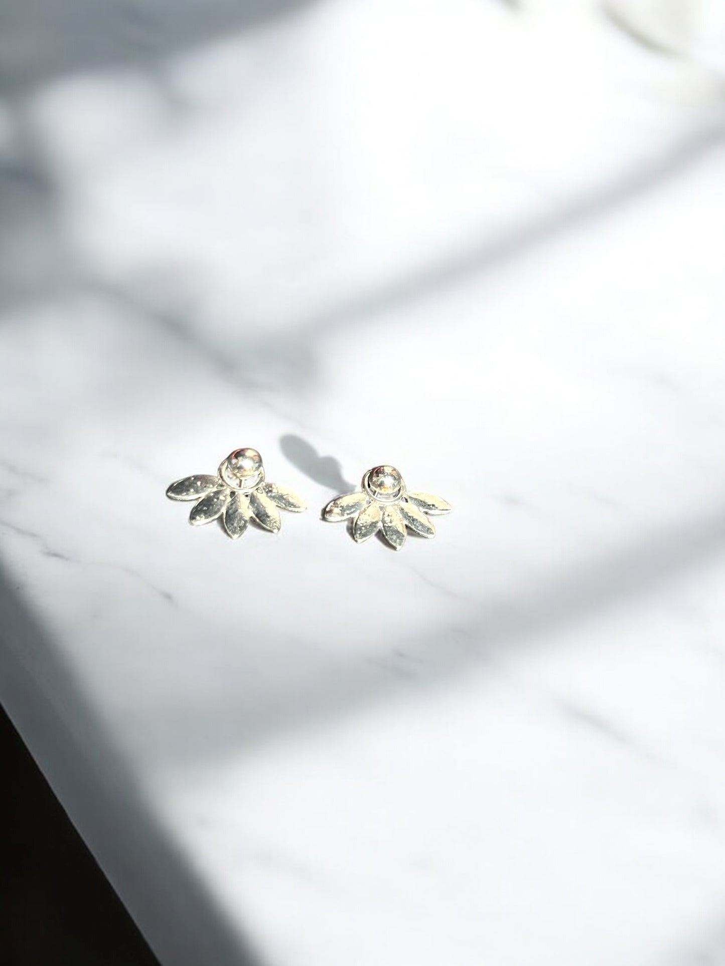 Aretes plateados