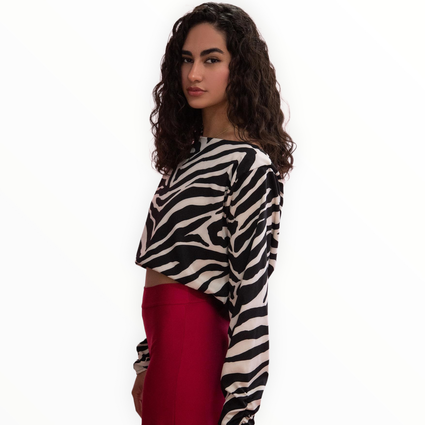 Blusa Dama Estampado Zebra