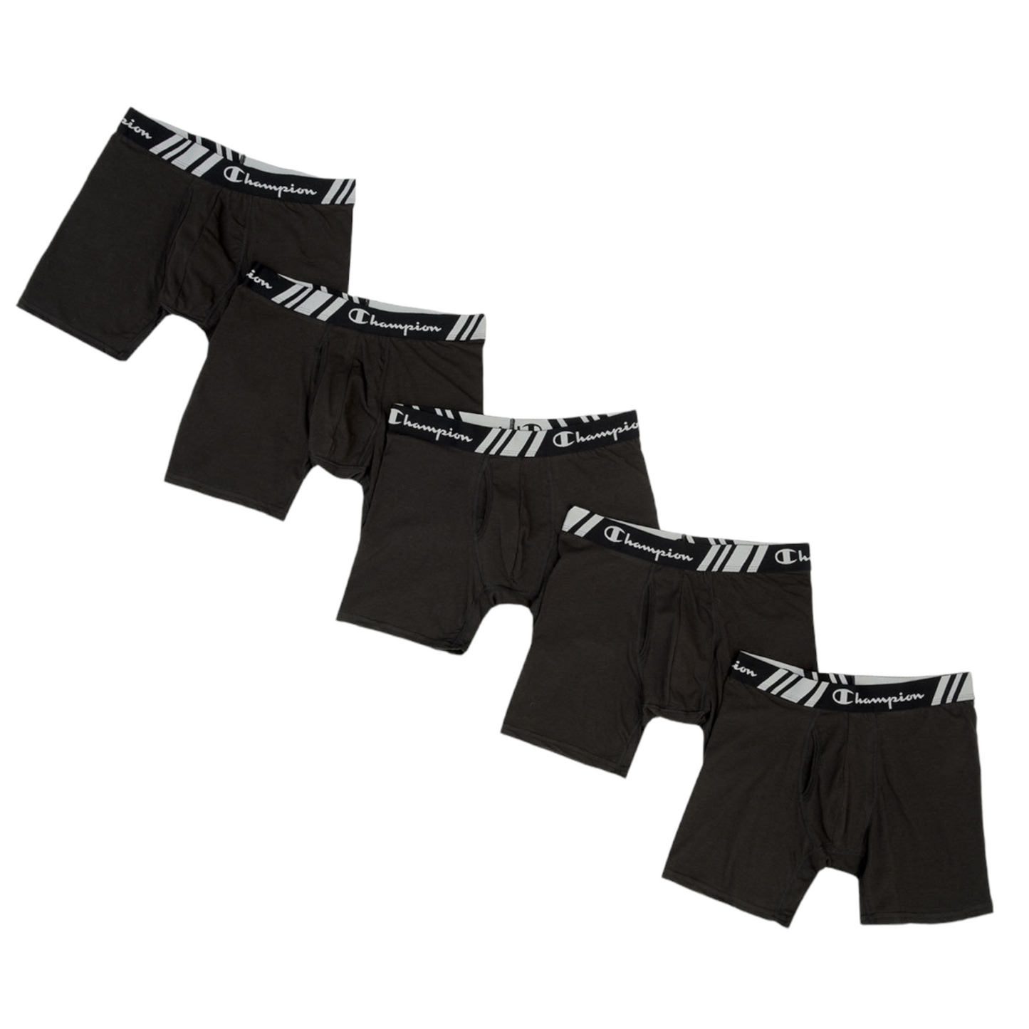 Boxer de hombre Champion