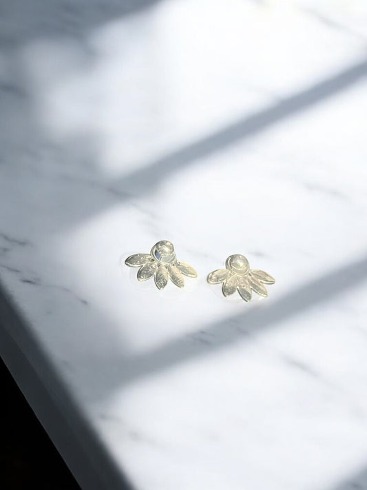 Aretes plateados